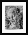 The head of an angel by Andrea del Verrocchio