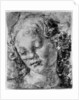 The head of an angel by Andrea del Verrocchio