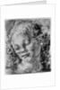 The head of an angel by Andrea del Verrocchio