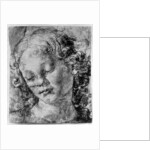The head of an angel by Andrea del Verrocchio