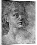 The head of a young woman by Lorenzo di Credi