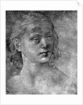 The head of a young woman by Lorenzo di Credi