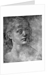 The head of a young woman by Lorenzo di Credi