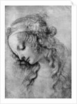 The head of the Madonna, 15th centuy by Andrea del Verrocchio