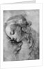 The head of the Madonna, 15th centuy by Andrea del Verrocchio