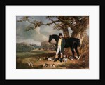 Mr Maynard and Her Majesty's Beagles by Henry Barraud