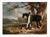 Mr Maynard and Her Majesty's Beagles by Henry Barraud