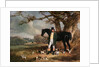Mr Maynard and Her Majesty's Beagles by Henry Barraud