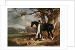 Mr Maynard and Her Majesty's Beagles by Henry Barraud
