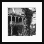 Lime tree in a courtyard, Nuremberg, Bavaria, Germany by Wurthle & Sons