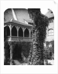 Lime tree in a courtyard, Nuremberg, Bavaria, Germany by Wurthle & Sons