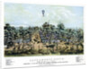 Sacramento, California by Endicott & Co.