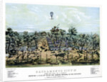 Sacramento, California by Endicott & Co.