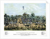 Sacramento, California by Endicott & Co.