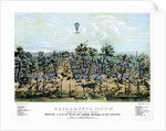 Sacramento, California by Endicott & Co.