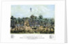 Sacramento, California by Endicott & Co.