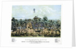 Sacramento, California by Endicott & Co.