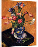 Tulip and Iris by Matthew Smith