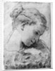 Study of a girl's head by Gaetano Gandolfi