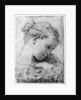 Study of a girl's head by Gaetano Gandolfi