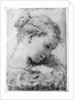 Study of a girl's head by Gaetano Gandolfi