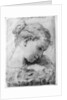 Study of a girl's head by Gaetano Gandolfi