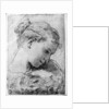 Study of a girl's head by Gaetano Gandolfi
