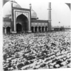 Praying at Jumma Musjid, Delhi, India by Underwood & Underwood