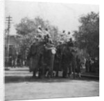 A Punjabi princess riding an elephant in a procession, Delhi, India by H Hands & Son