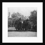 A Punjabi princess riding an elephant in a procession, Delhi, India by H Hands & Son