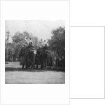 A Punjabi princess riding an elephant in a procession, Delhi, India by H Hands & Son
