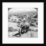 An elephant and its keeper, Sri Lanka by Underwood & Underwood