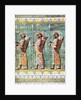 The archers of Kiing Darius, Susa, Iran by Anonymous