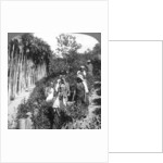 Tamil women picking tea on Sir Thomas Lipton's estate, Polgahawela, Sri Lanka by Underwood & Underwood