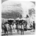 Men carrying baskets of cotton at an Indore cotton mill, India by Anonymous