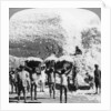 Men carrying baskets of cotton at an Indore cotton mill, India by Anonymous