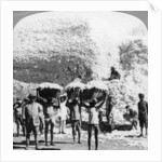 Men carrying baskets of cotton at an Indore cotton mill, India by Anonymous