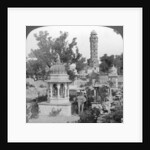 Tower of Victory amd royal cenotaphs, Chittaurgarh, India by Underwood & Underwood