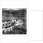 The golden canopy in the Durbar tent of the Maharaja of Kashmir, Delhi, India by Underwood & Underwood