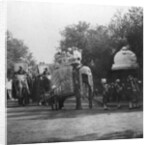 A Punjabi princess in an elephant procession, Delhi, India by H Hands & Son