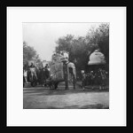 A Punjabi princess in an elephant procession, Delhi, India by H Hands & Son