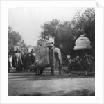 A Punjabi princess in an elephant procession, Delhi, India by H Hands & Son