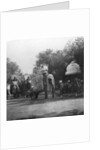 A Punjabi princess in an elephant procession, Delhi, India by H Hands & Son