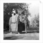 An elephant outside the railway station at Delhi, India by H Hands & Son