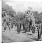 Lord and Lady Harding riding an elephant, India by HD Girdwood