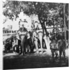 Viceregal staff and his daughter taking part in the elephant procession, Delhi, India by H Hands & Son