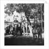 Viceregal staff and his daughter taking part in the elephant procession, Delhi, India by H Hands & Son