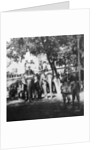 Viceregal staff and his daughter taking part in the elephant procession, Delhi, India by H Hands & Son
