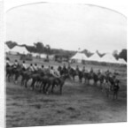 Sports day at Narsampet, India by Anonymous