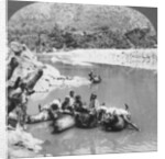 Inflated bullock skins used as ferry boats on the Sutlej River, Punjab, India by Anonymous
